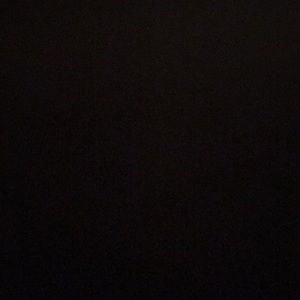 Meet your Posher, Elsa